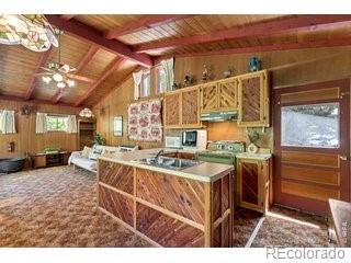 MLS Image #7 for 702  bryan avenue,nederland, Colorado