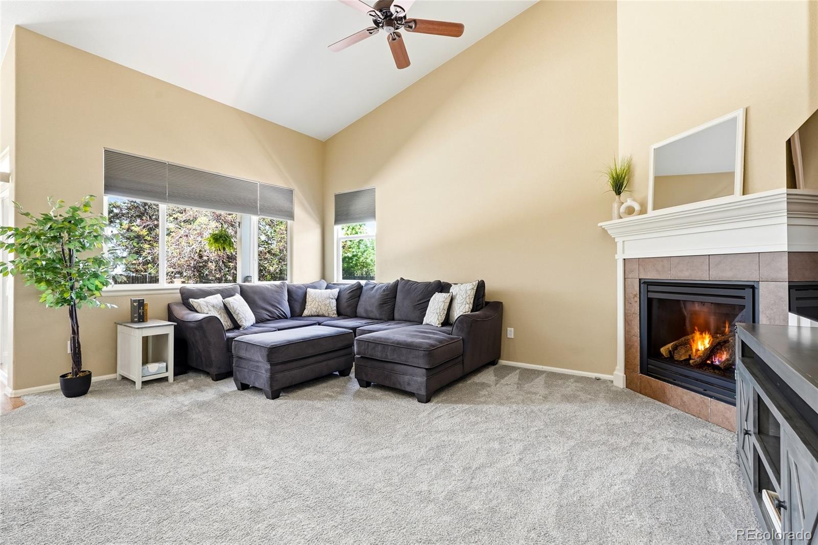 MLS Image #9 for 8325  raspberry drive,frederick, Colorado