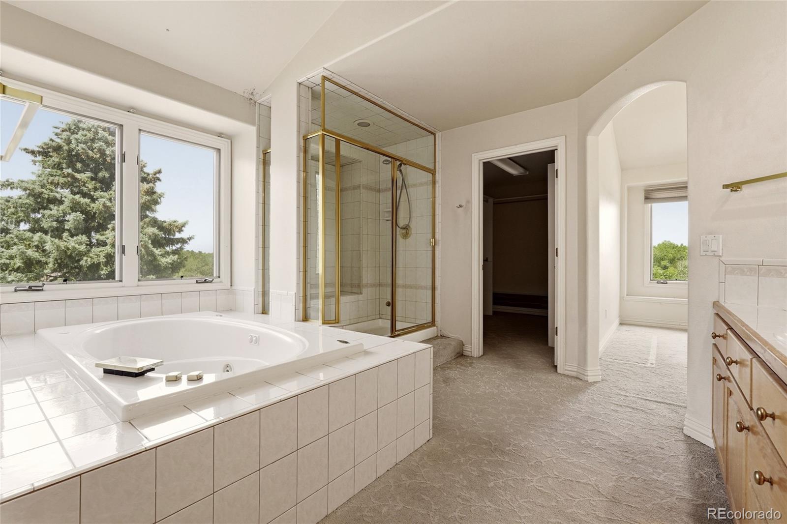 MLS Image #40 for 7701 s pitkin court,centennial, Colorado