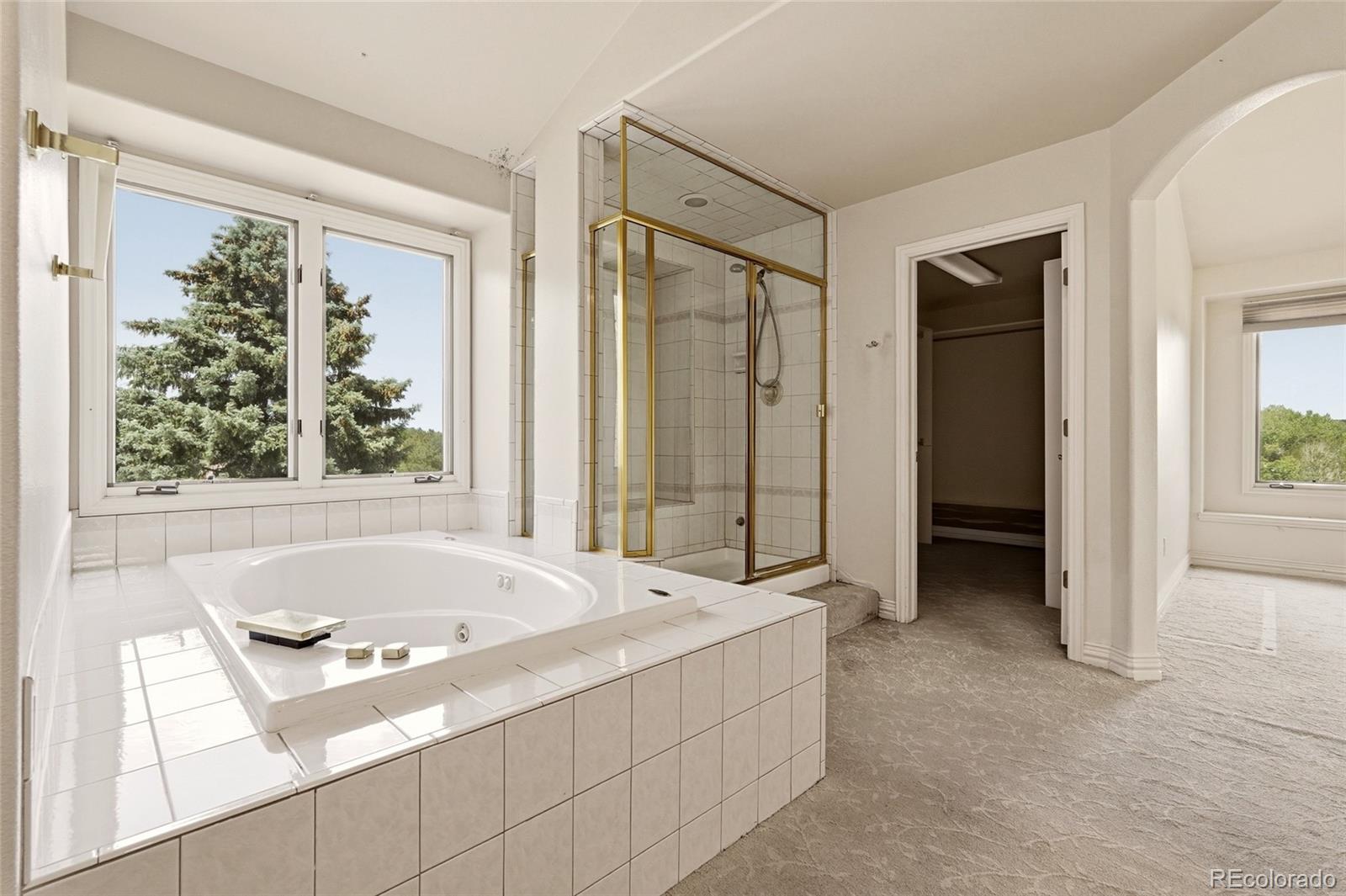 MLS Image #42 for 7701 s pitkin court,centennial, Colorado