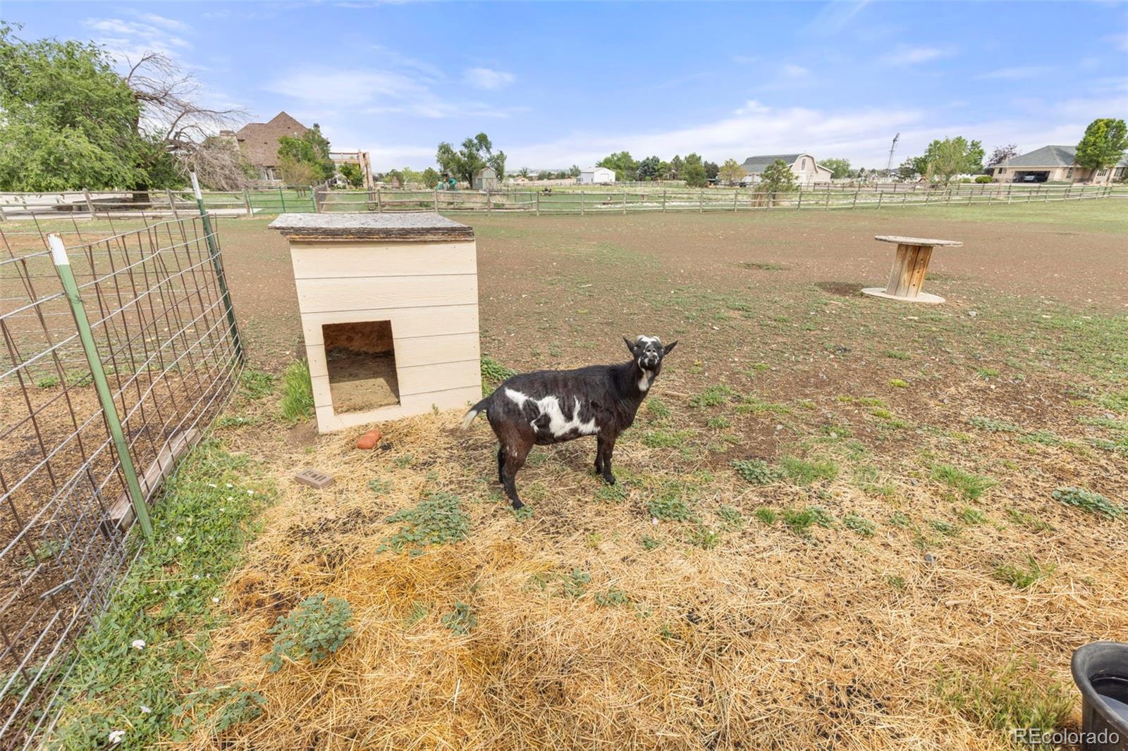 MLS Image #34 for 15200  zuni street,broomfield, Colorado