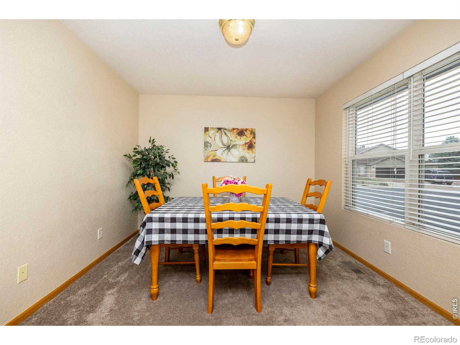 MLS Image #12 for 1110  alpine court,windsor, Colorado