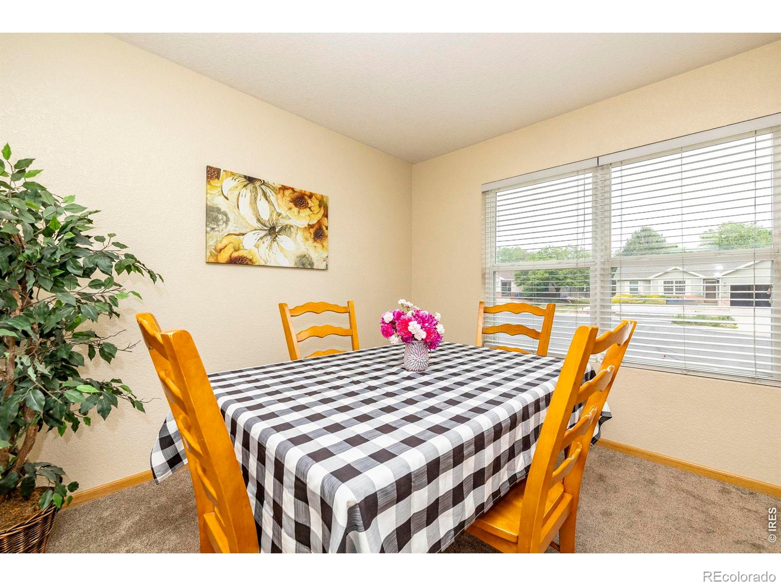 MLS Image #13 for 1110  alpine court,windsor, Colorado