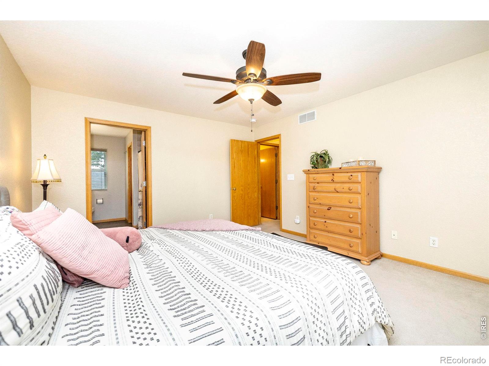 MLS Image #19 for 1110  alpine court,windsor, Colorado