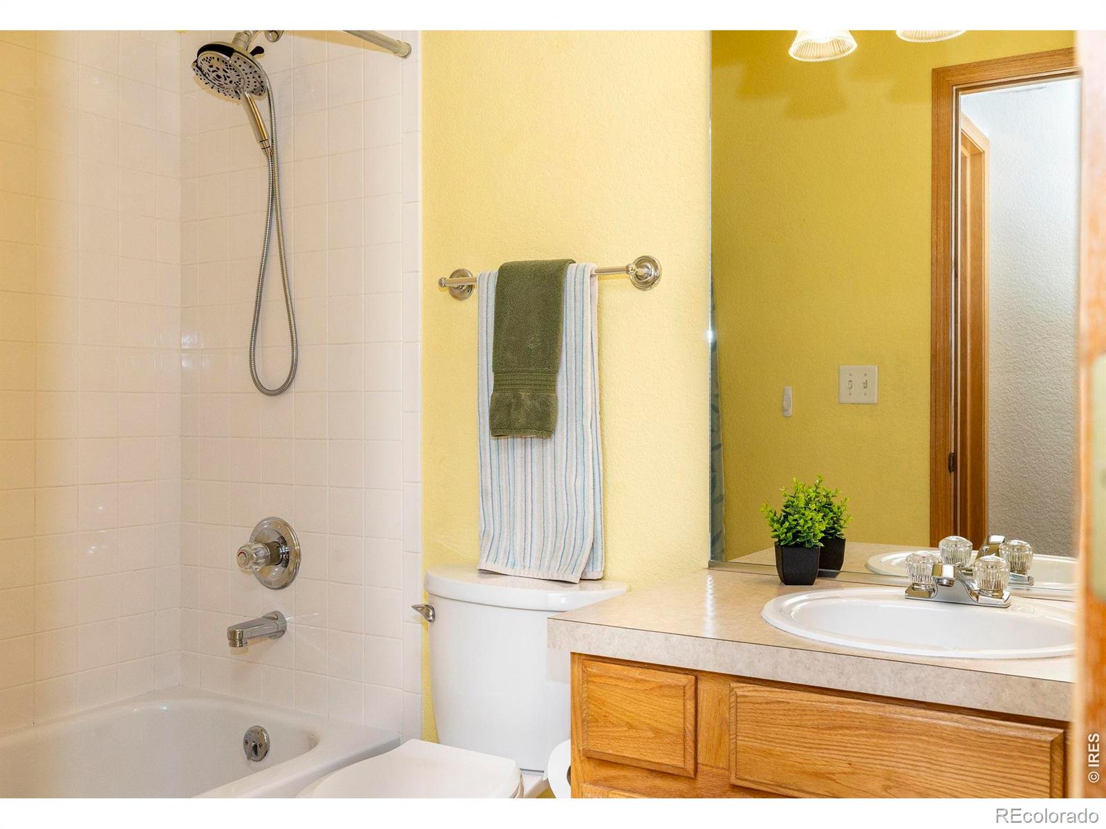 MLS Image #25 for 1110  alpine court,windsor, Colorado