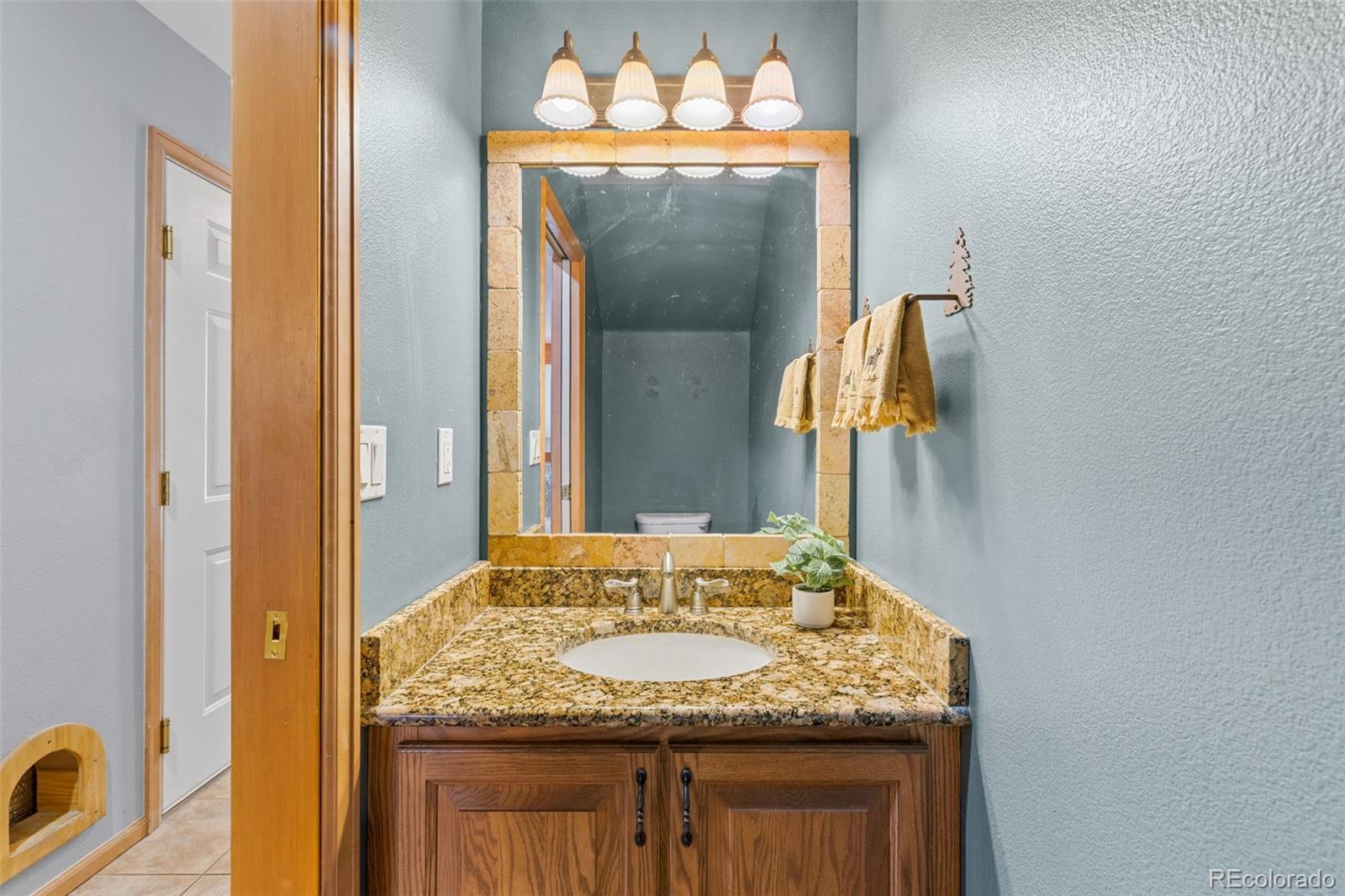 MLS Image #11 for 243  kestrel lane,silverthorne, Colorado