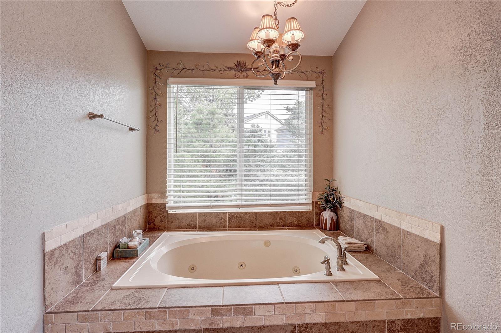 MLS Image #23 for 7305  meadow view,parker, Colorado