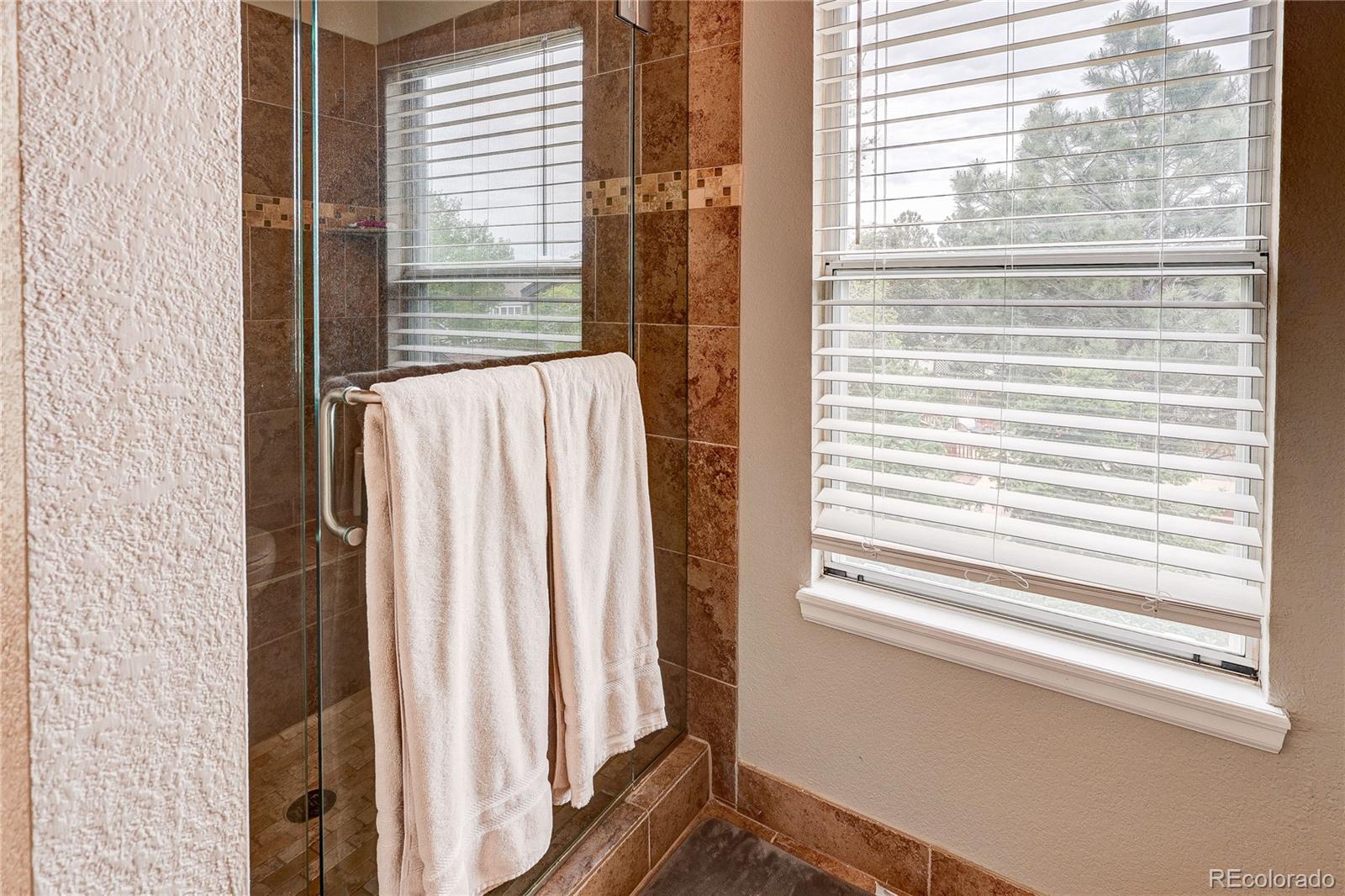 MLS Image #24 for 7305  meadow view,parker, Colorado