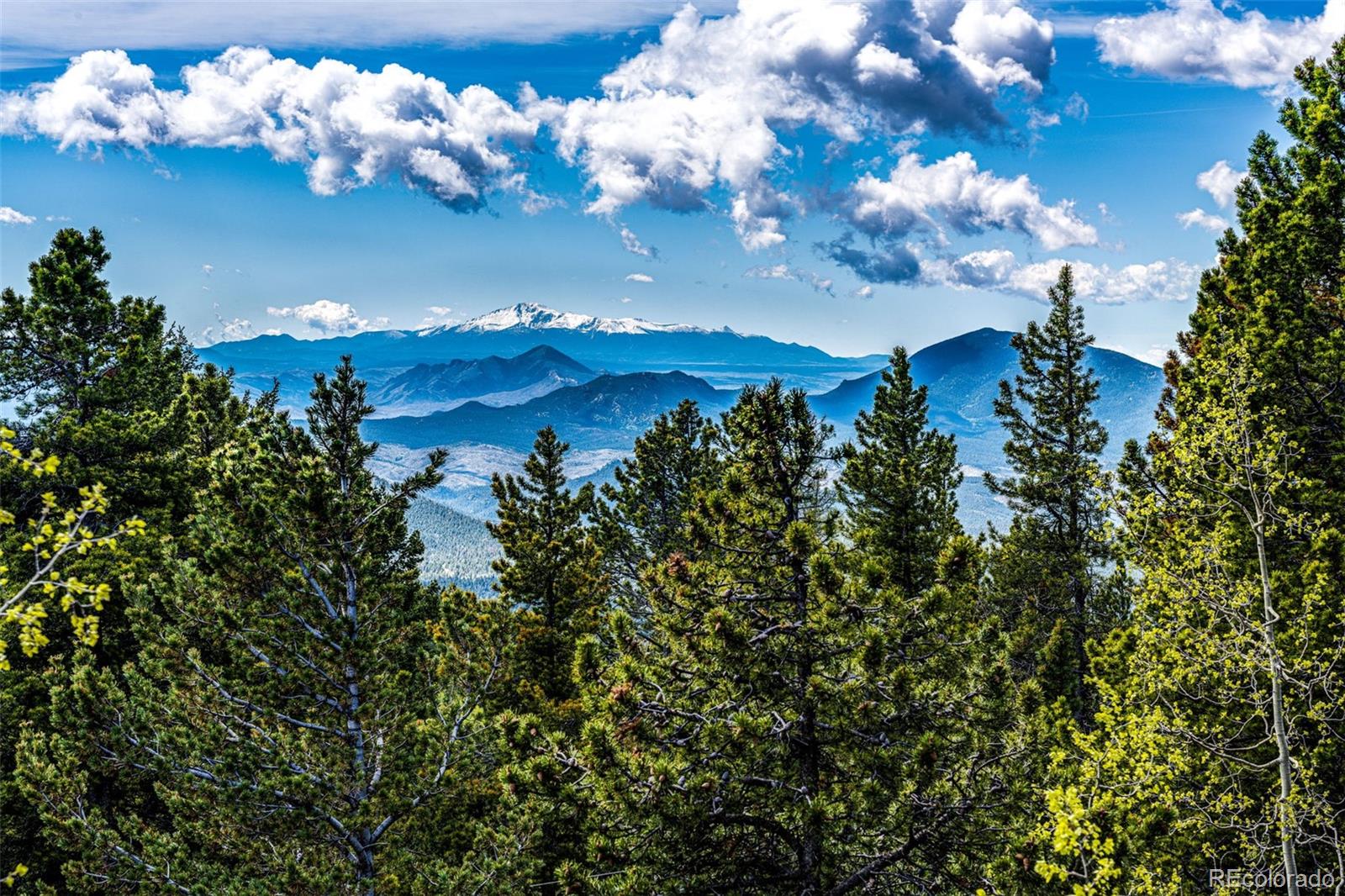 MLS Image #1 for 10955  beas drive,conifer, Colorado