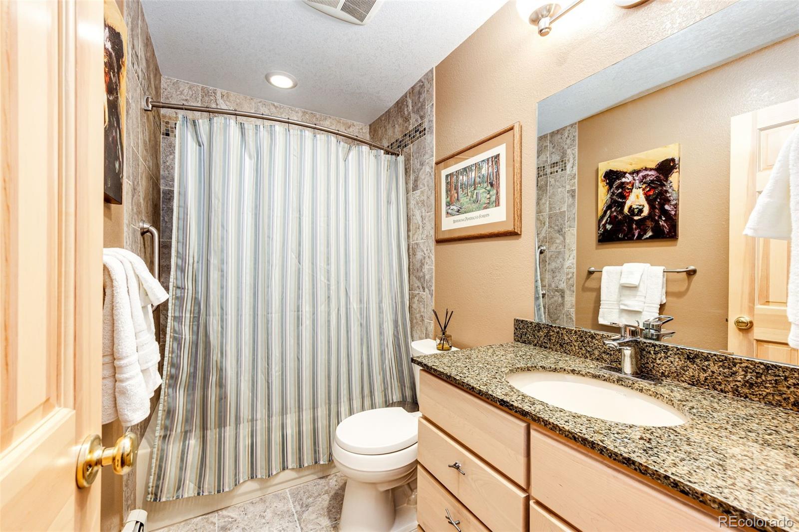 MLS Image #17 for 10955  beas drive,conifer, Colorado