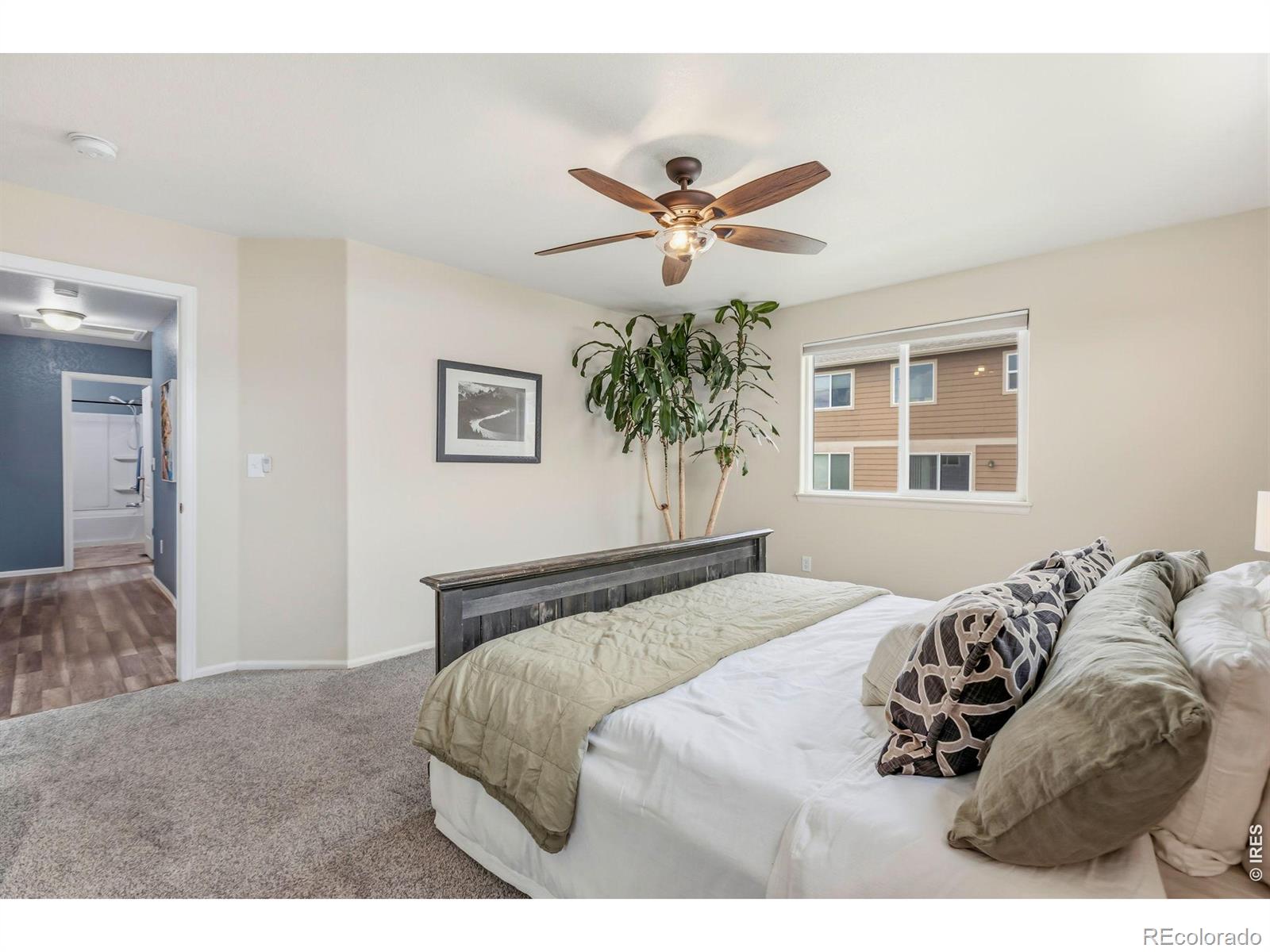 MLS Image #14 for 2281  talon parkway,greeley, Colorado