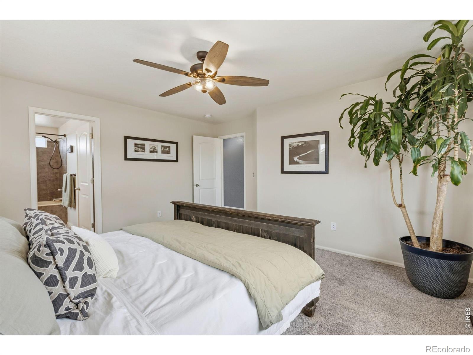 MLS Image #15 for 2281  talon parkway,greeley, Colorado