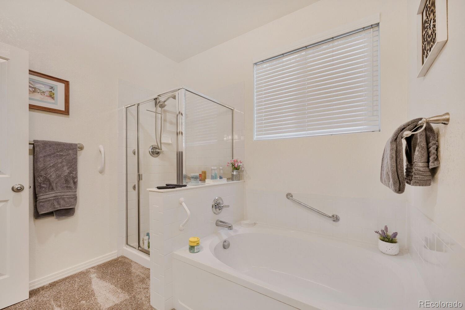 MLS Image #20 for 537  peregrine circle,longmont, Colorado