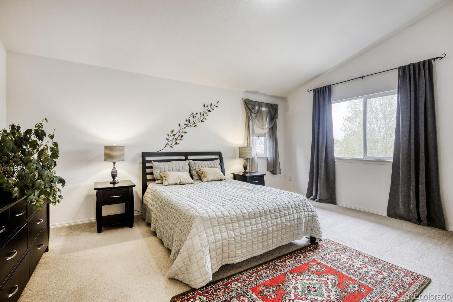 MLS Image #16 for 1355  carnation circle,longmont, Colorado