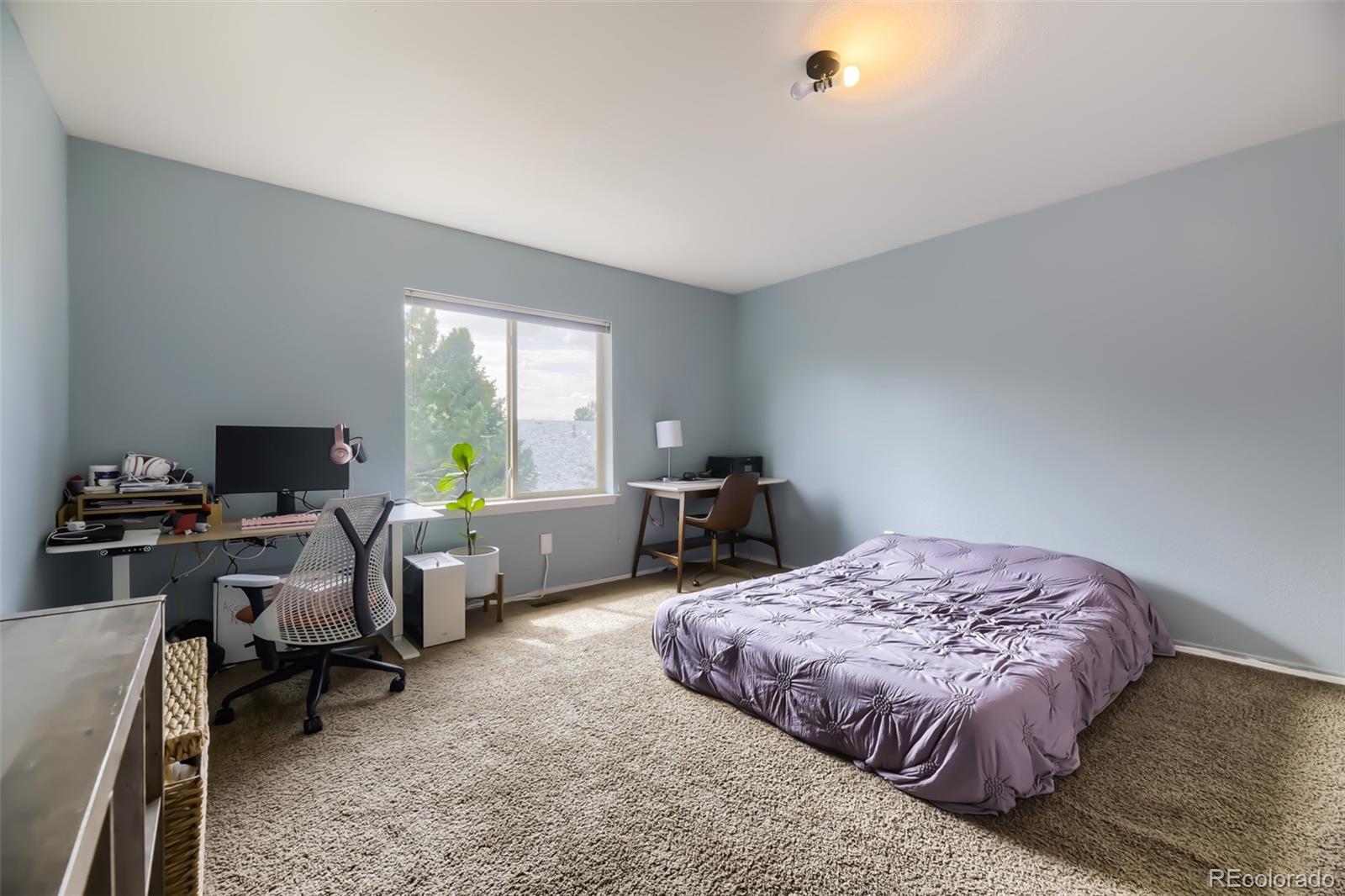MLS Image #17 for 12175  kalispell street,commerce city, Colorado