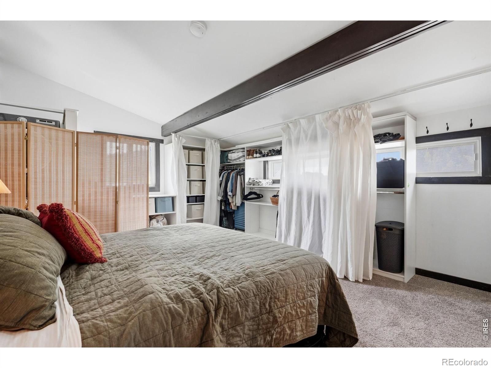 MLS Image #10 for 281 s jackson street,nederland, Colorado