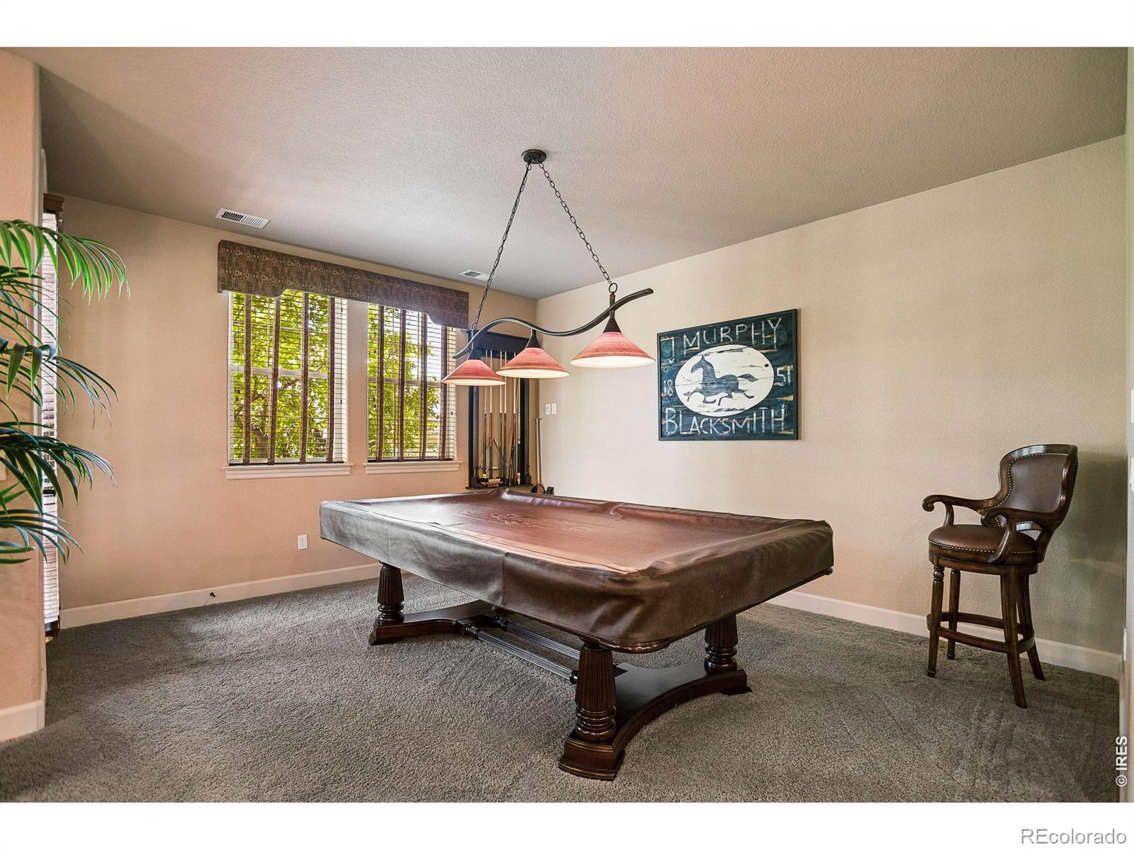 MLS Image #26 for 2819  tierra ridge court,superior, Colorado