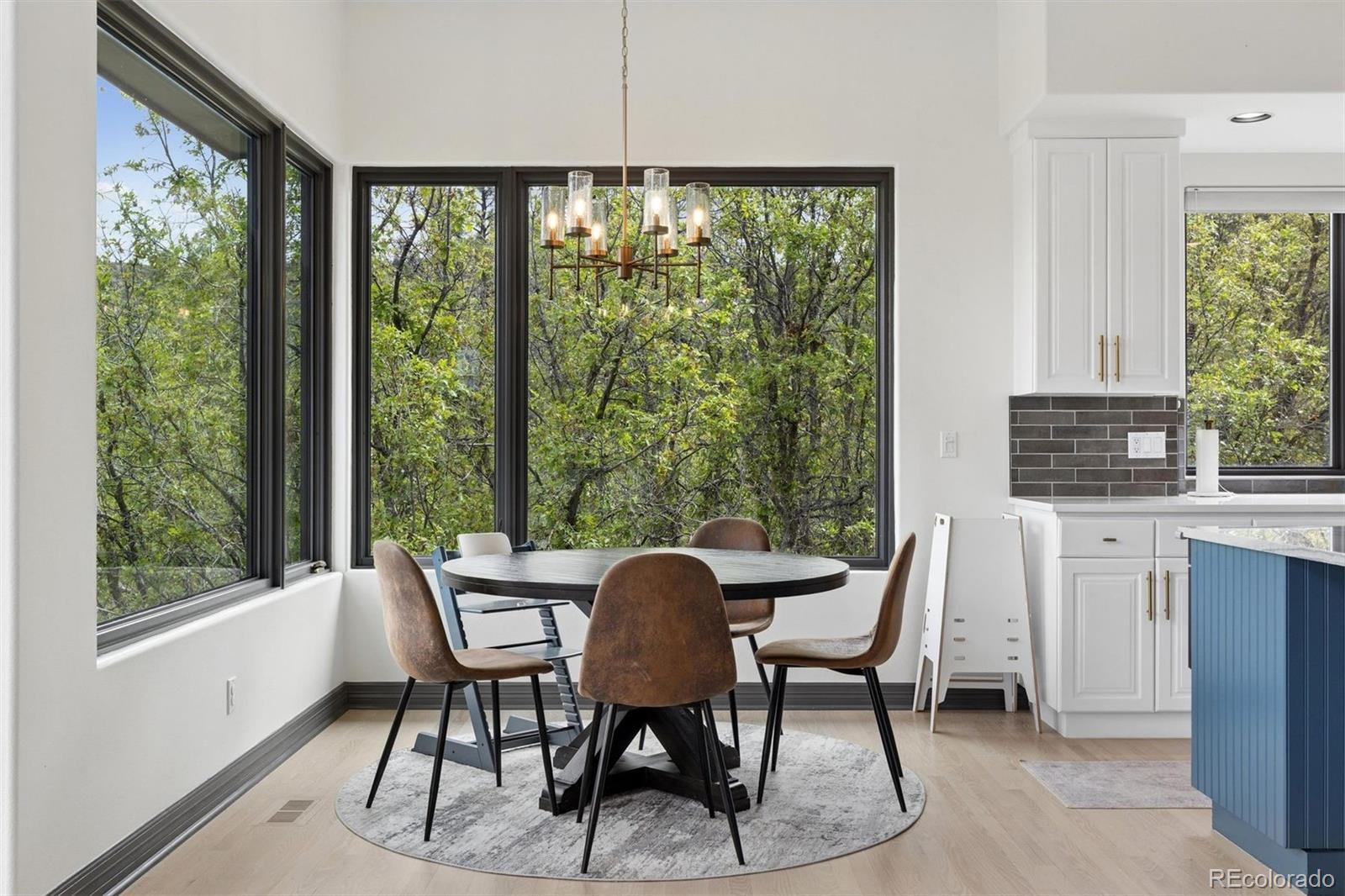 MLS Image #15 for 163  glengarry place,castle rock, Colorado