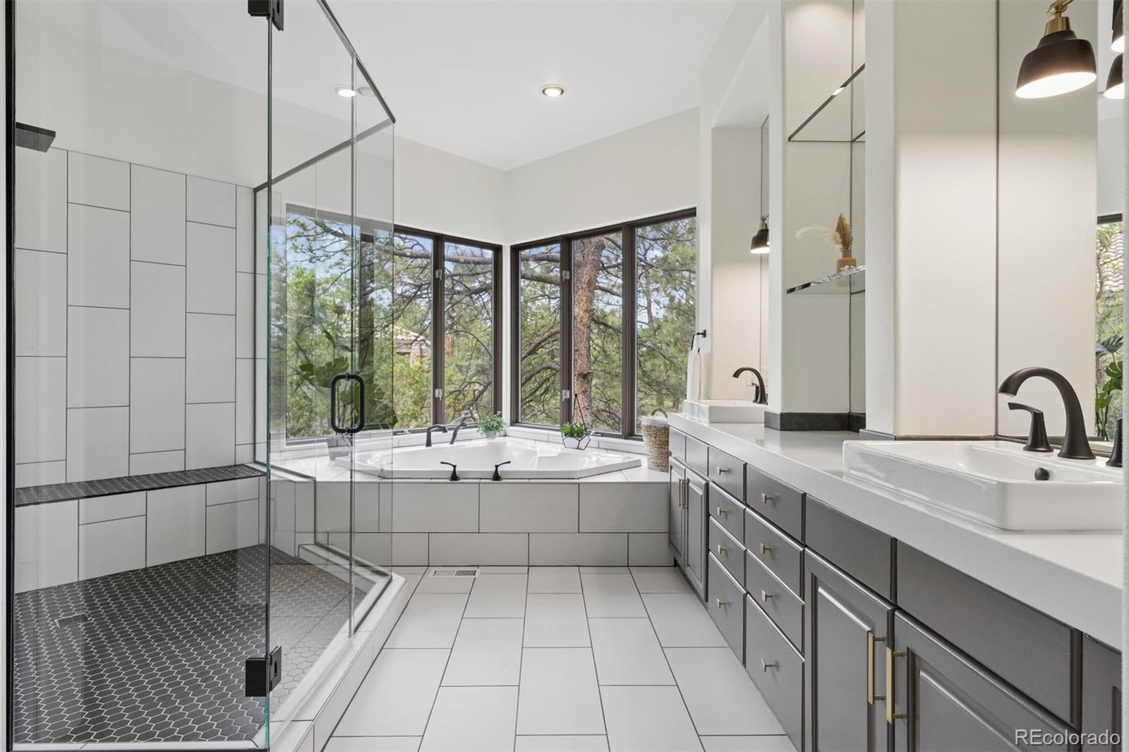MLS Image #23 for 163  glengarry place,castle rock, Colorado