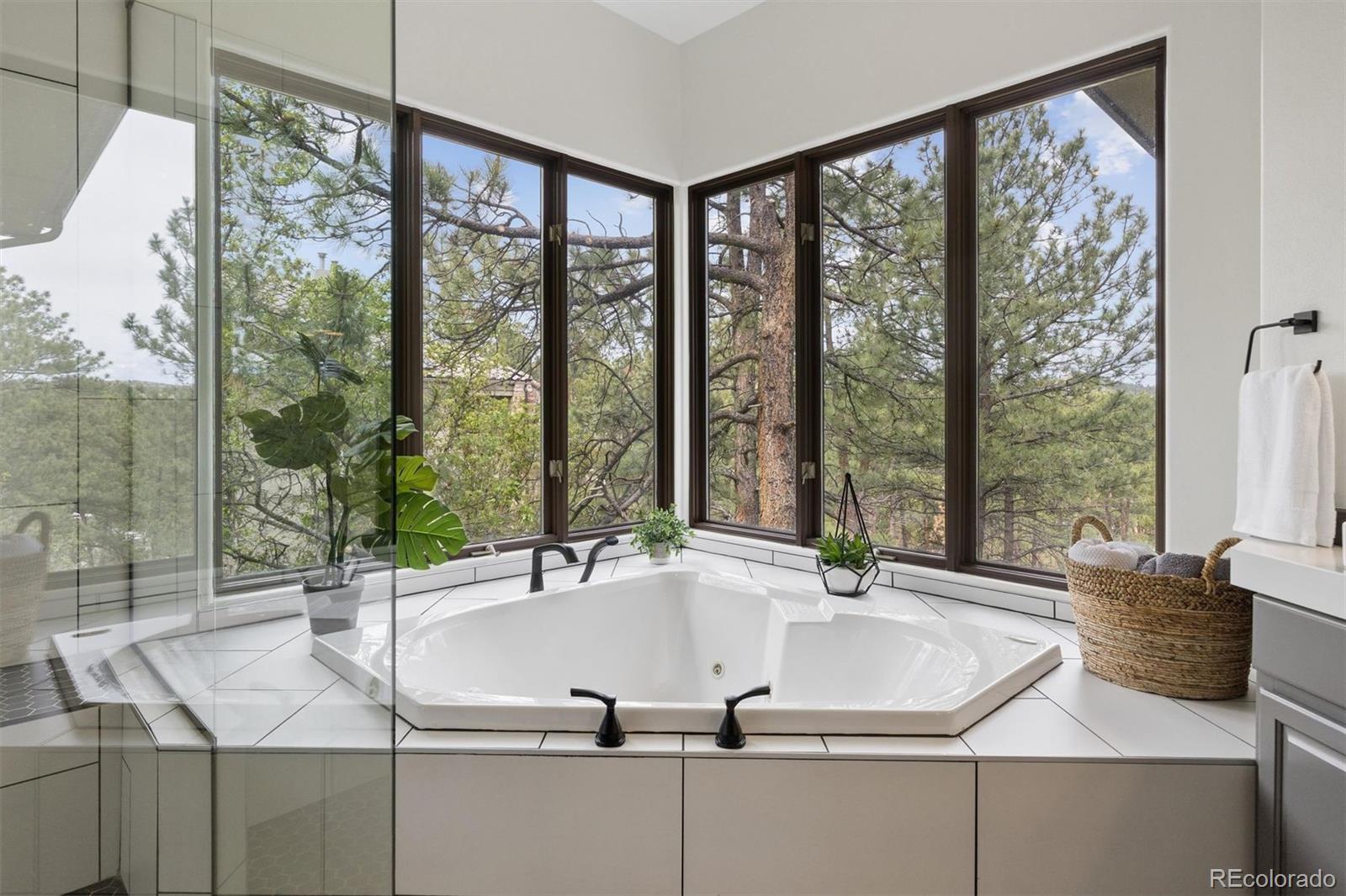 MLS Image #24 for 163  glengarry place,castle rock, Colorado