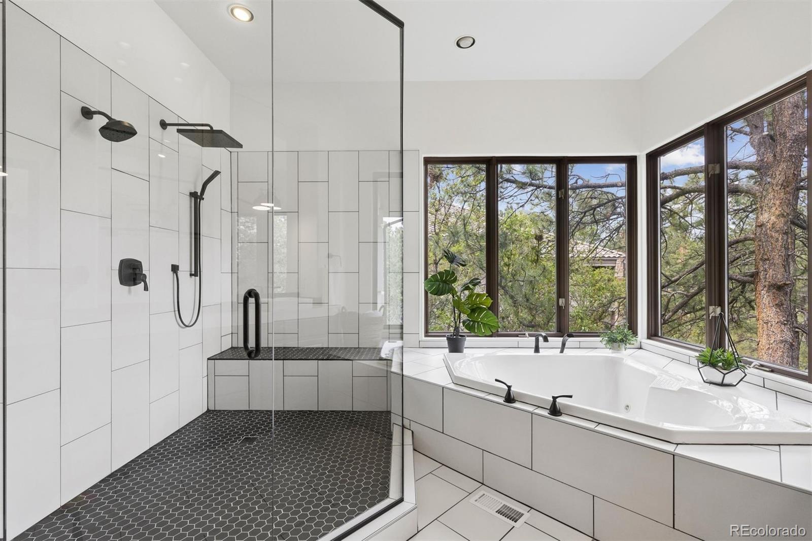 MLS Image #26 for 163  glengarry place,castle rock, Colorado