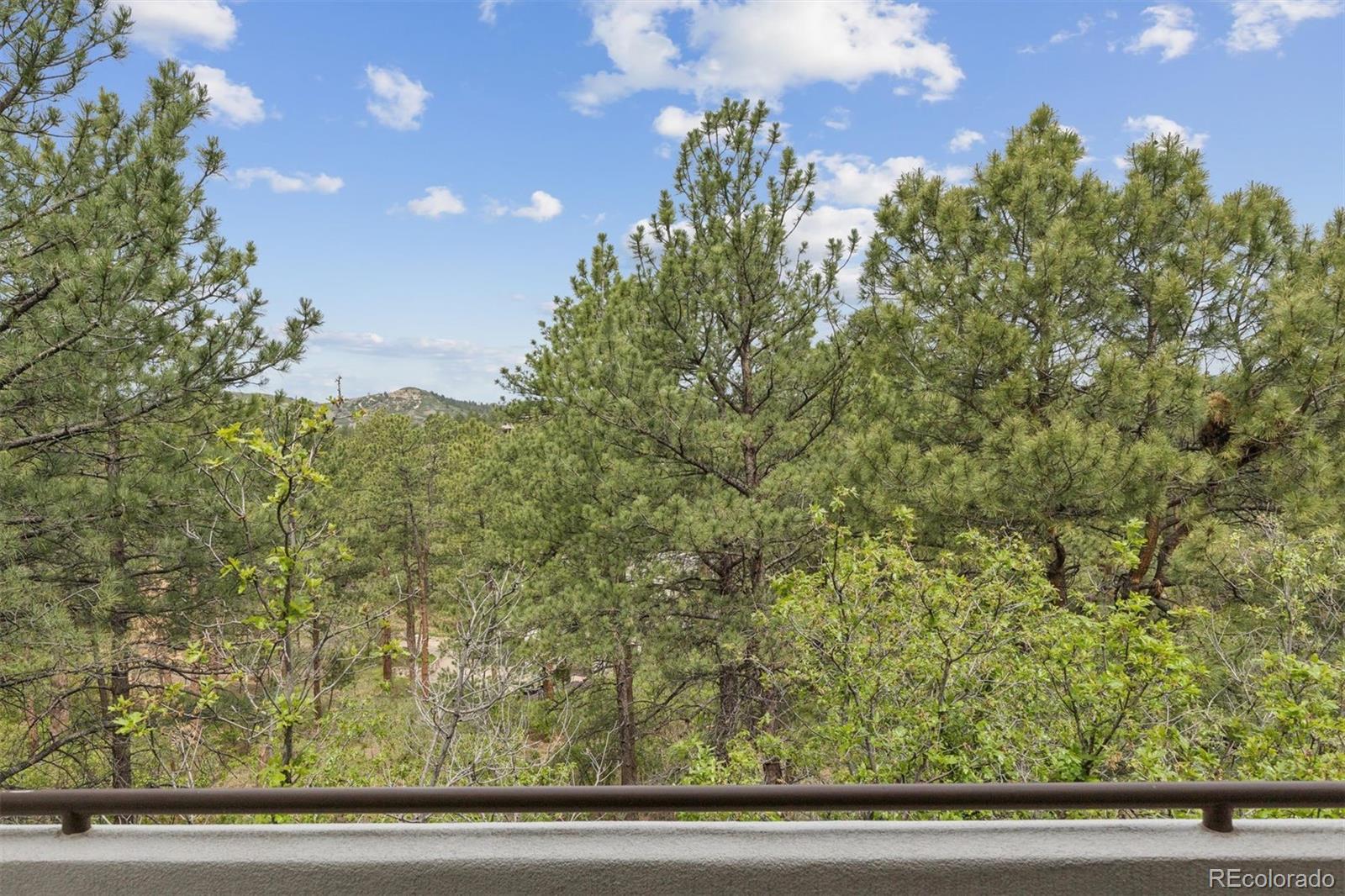 MLS Image #43 for 163  glengarry place,castle rock, Colorado
