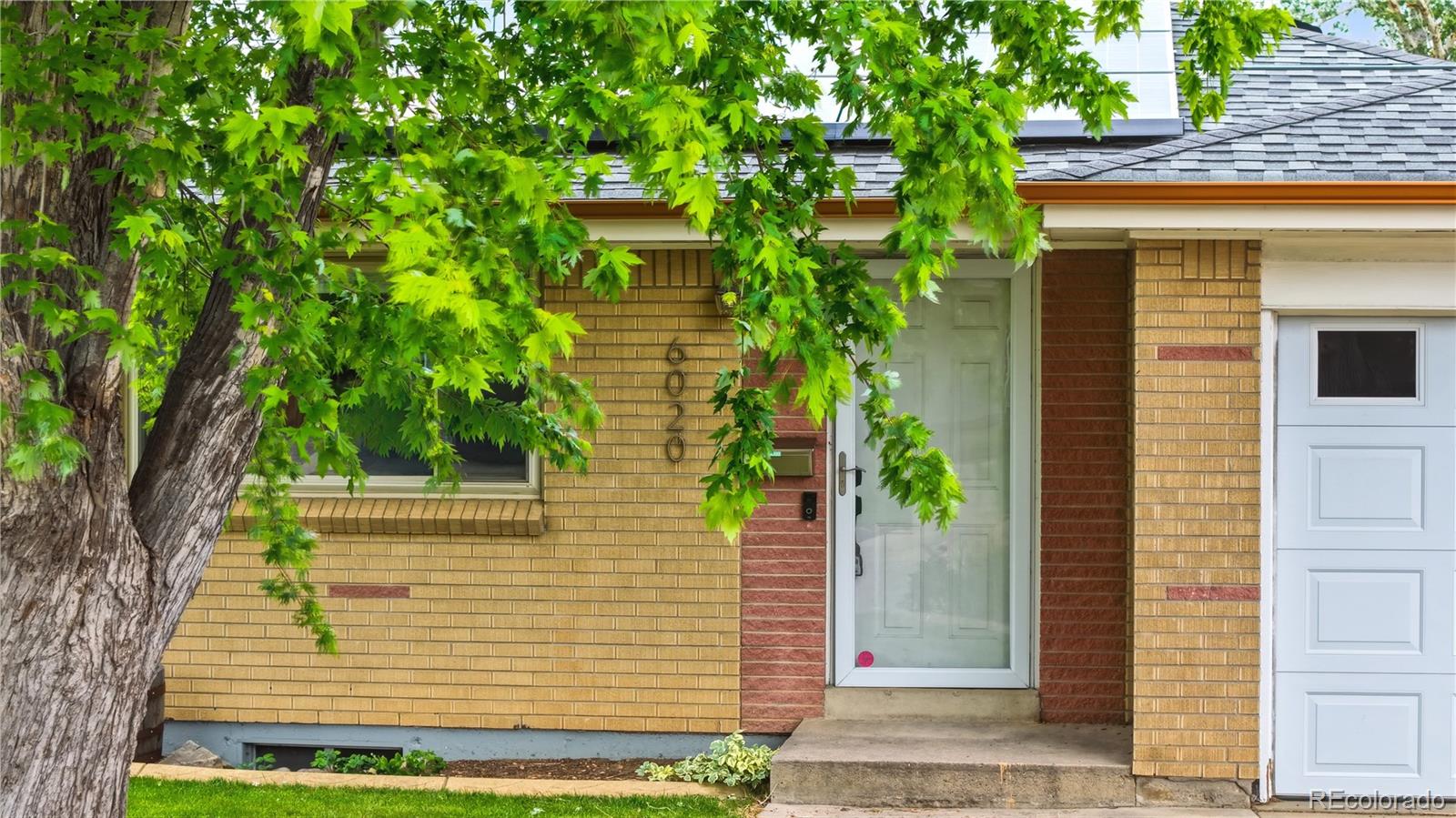 MLS Image #1 for 6020  kline street,arvada, Colorado