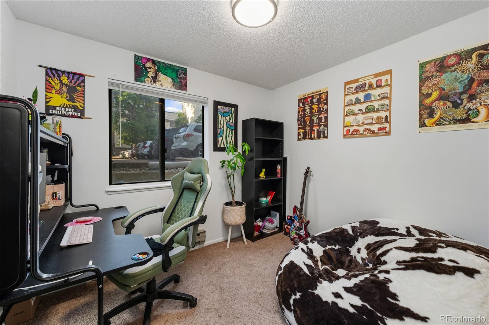 MLS Image #10 for 1209 w plum street,fort collins, Colorado