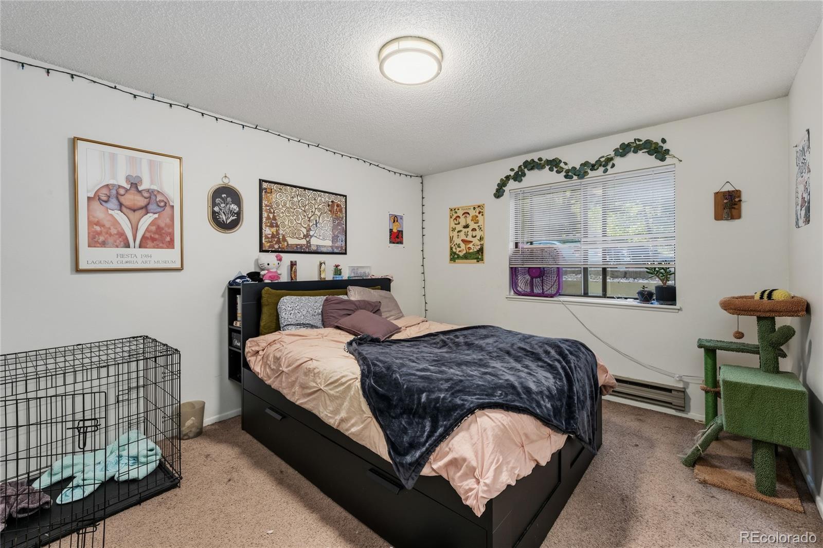 MLS Image #11 for 1209 w plum street,fort collins, Colorado