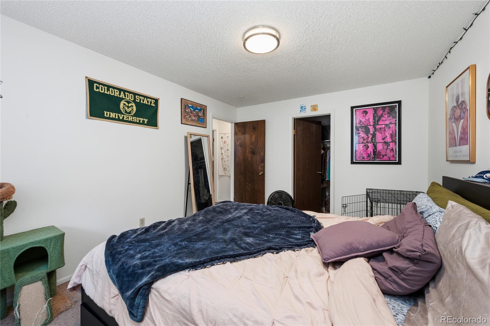MLS Image #12 for 1209 w plum street,fort collins, Colorado