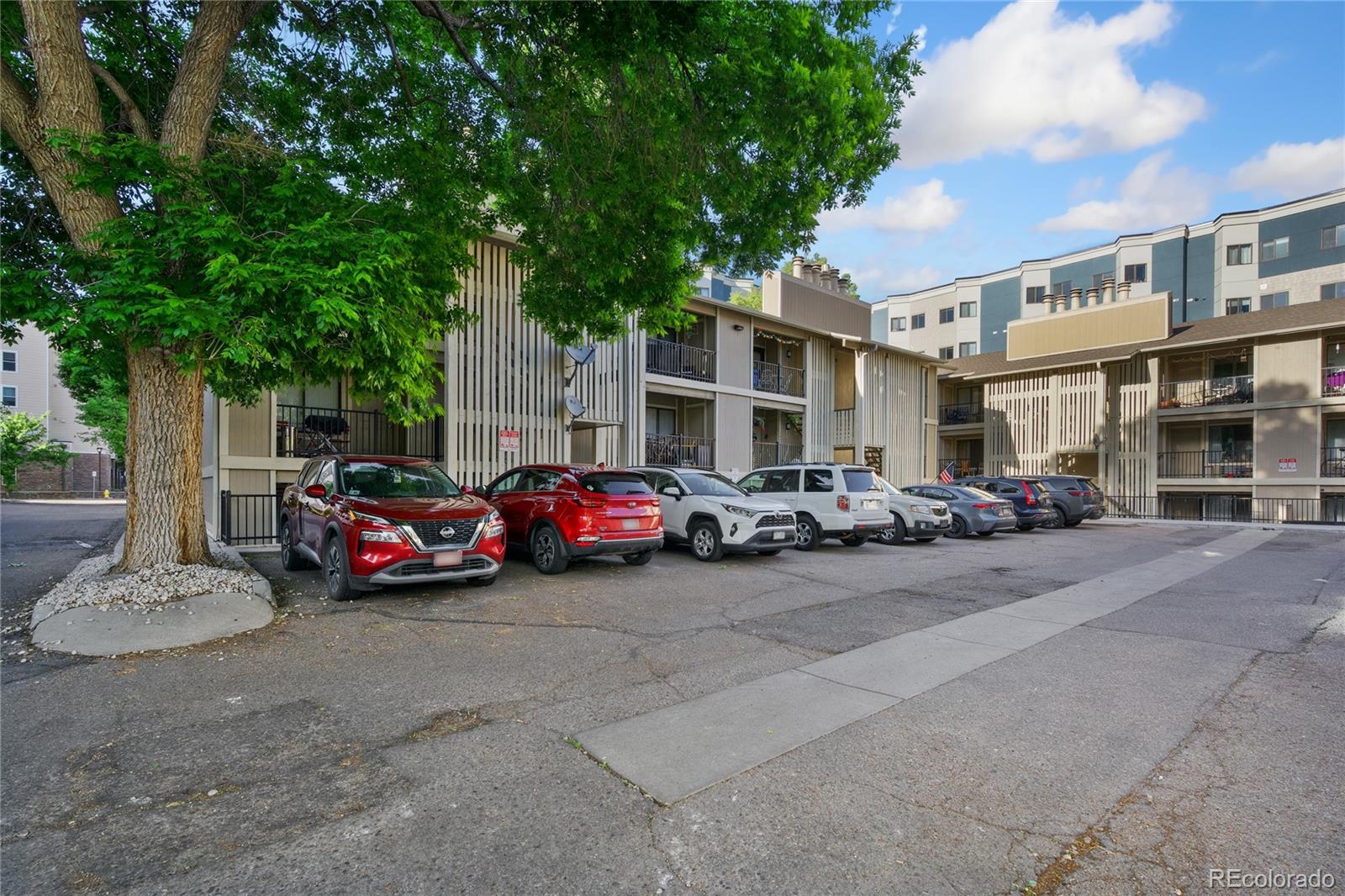MLS Image #13 for 1209 w plum street,fort collins, Colorado