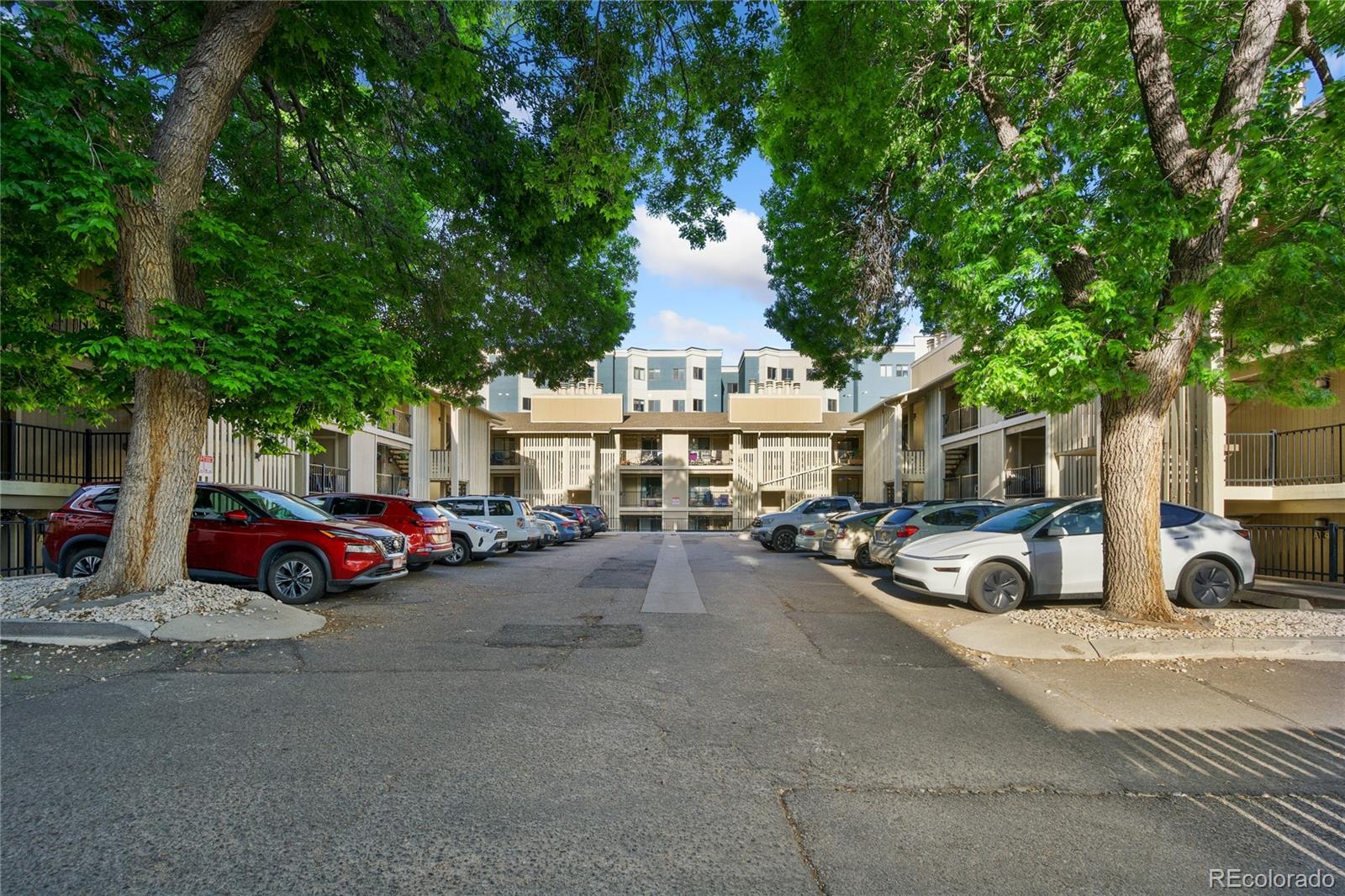MLS Image #14 for 1209 w plum street,fort collins, Colorado