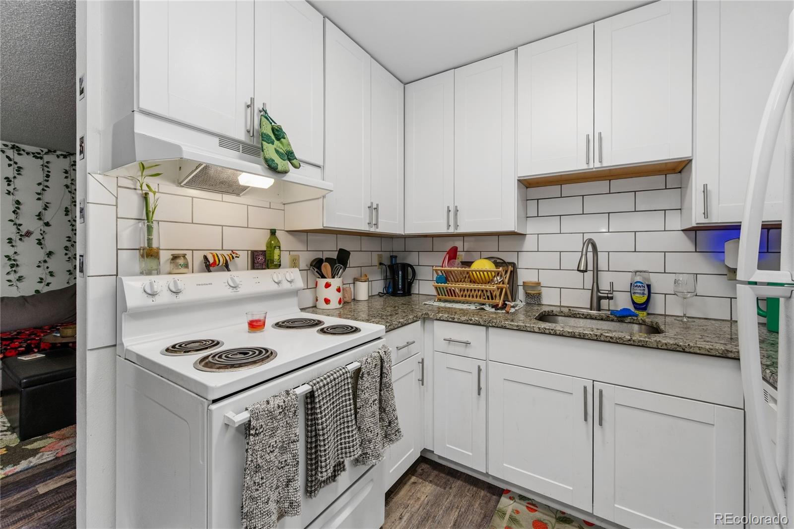 MLS Image #6 for 1209 w plum street,fort collins, Colorado