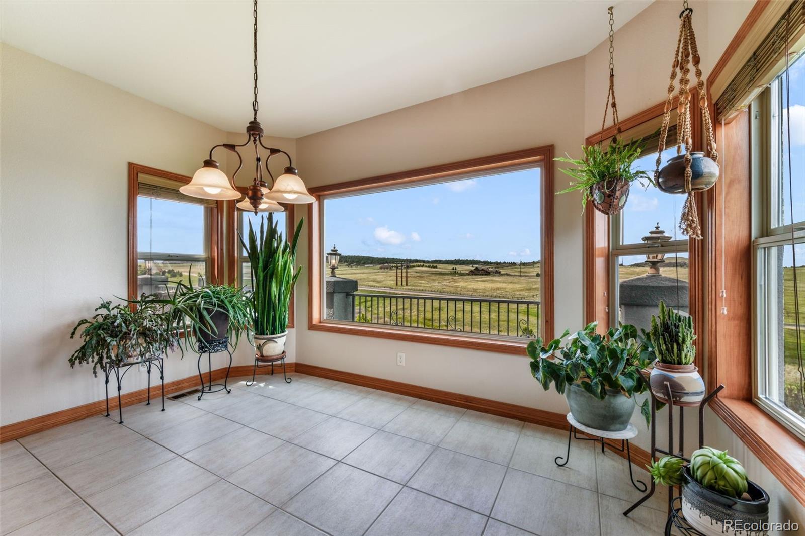 MLS Image #20 for 20439  taversham court,monument, Colorado