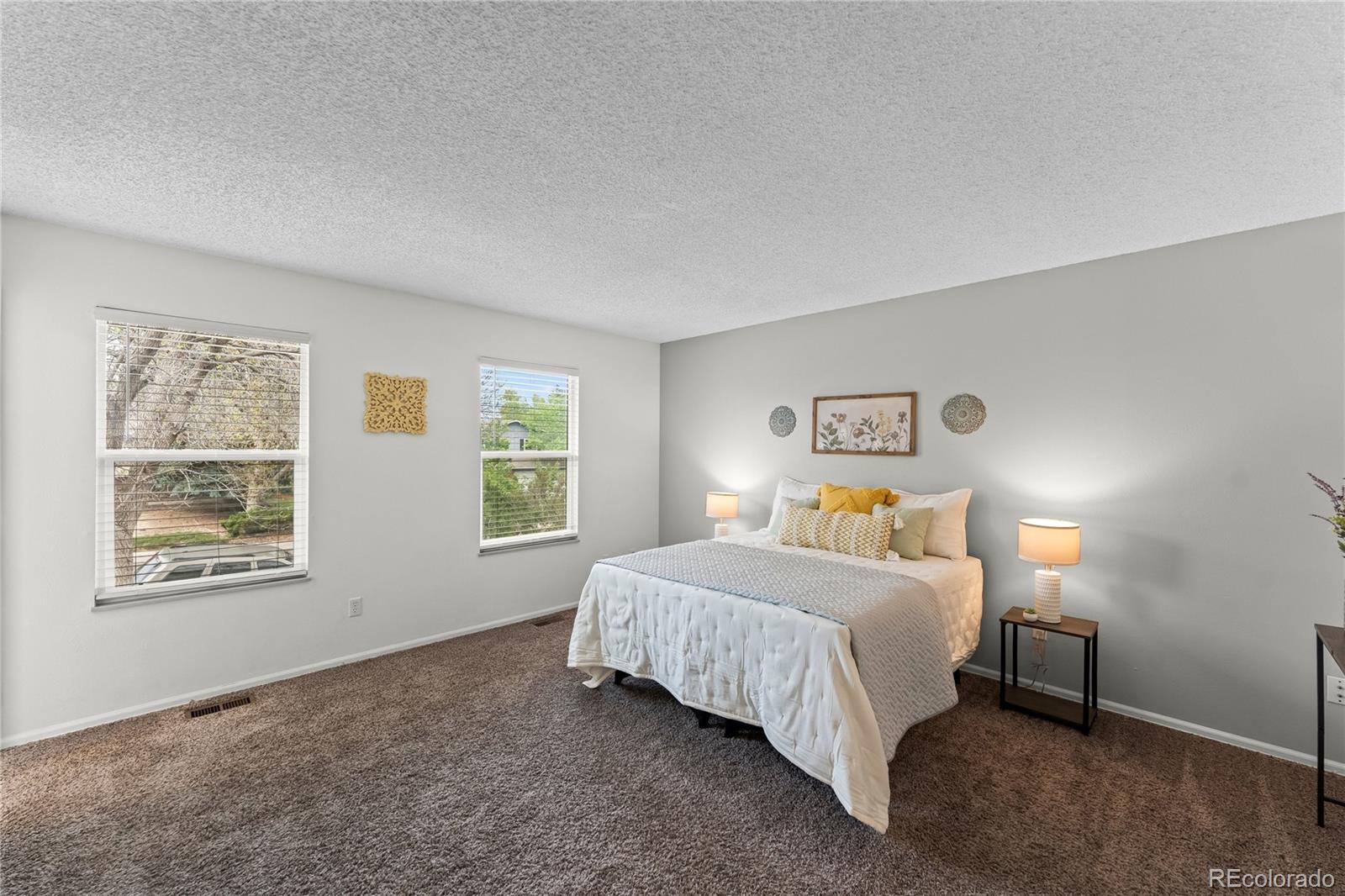 MLS Image #10 for 5647  trout creek pass drive,colorado springs, Colorado