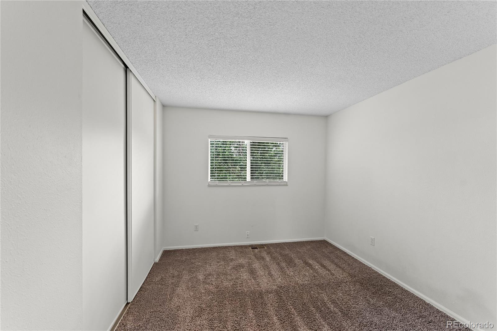MLS Image #17 for 5647  trout creek pass drive,colorado springs, Colorado