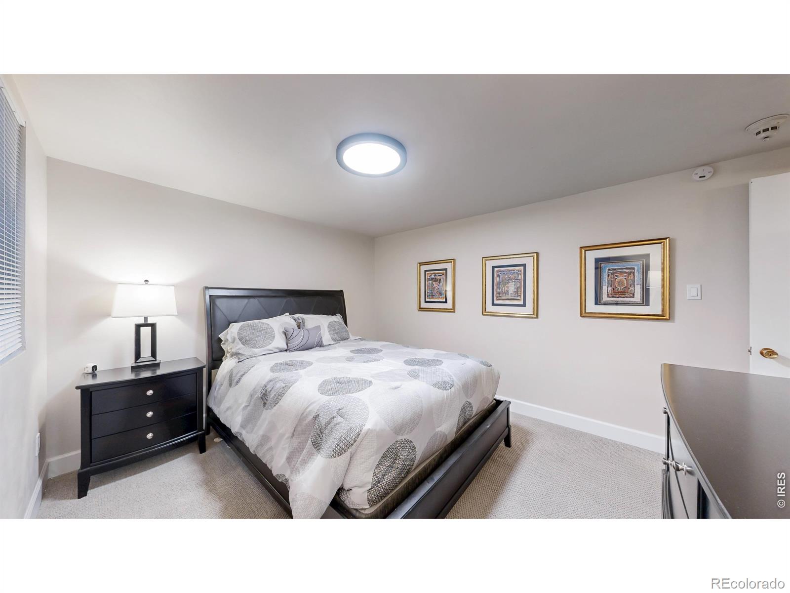 MLS Image #42 for 463  locust street,denver, Colorado