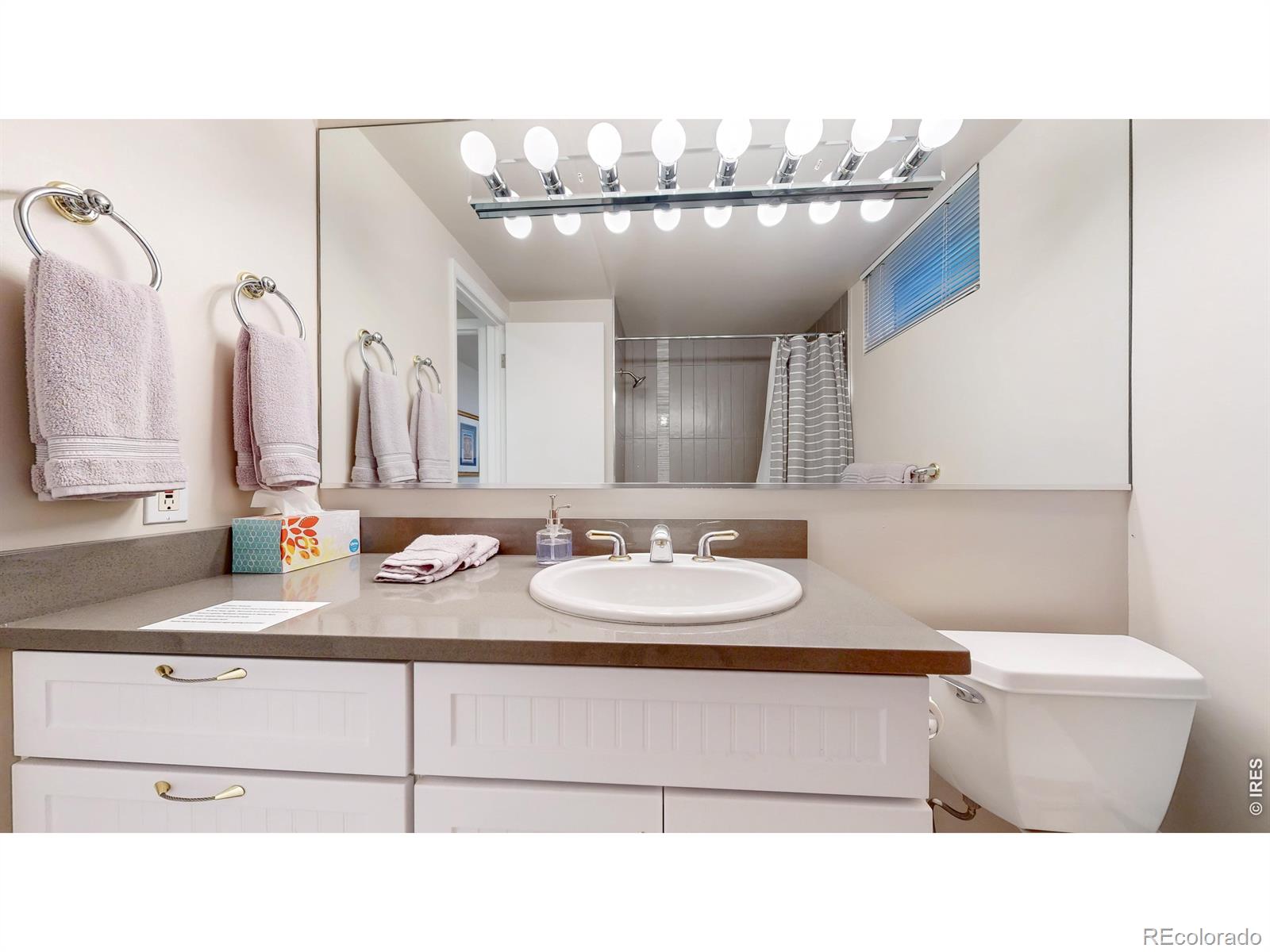 MLS Image #43 for 463  locust street,denver, Colorado