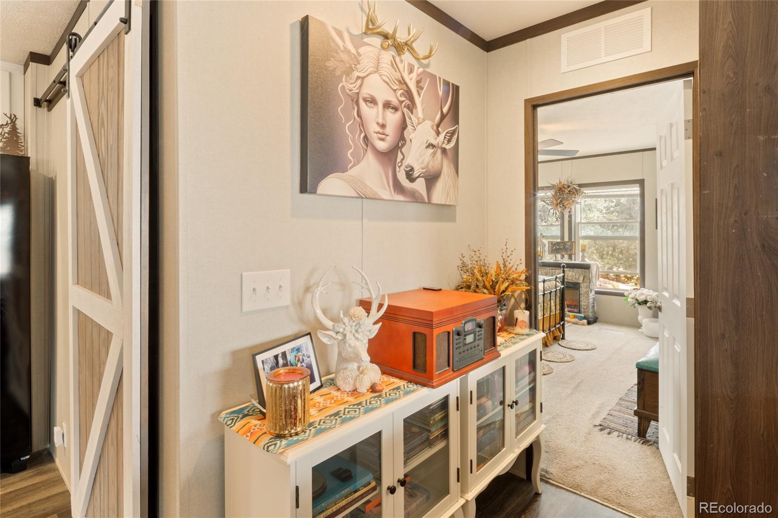 MLS Image #15 for 4247  serene way,crestone, Colorado