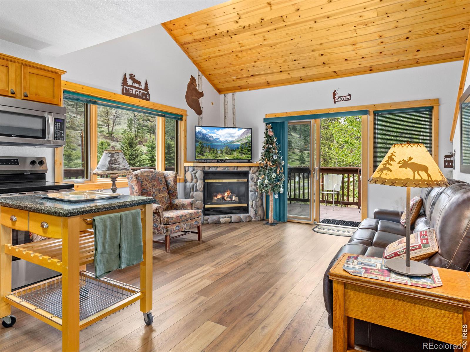 MLS Image #4 for 1516  fish hatchery road,estes park, Colorado