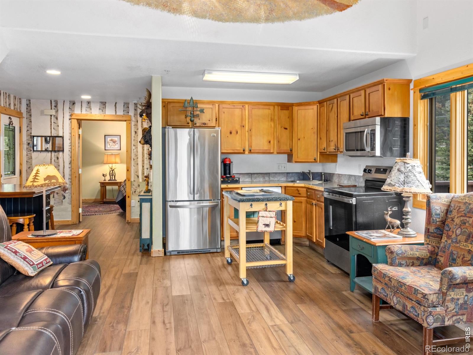 MLS Image #8 for 1516  fish hatchery road,estes park, Colorado