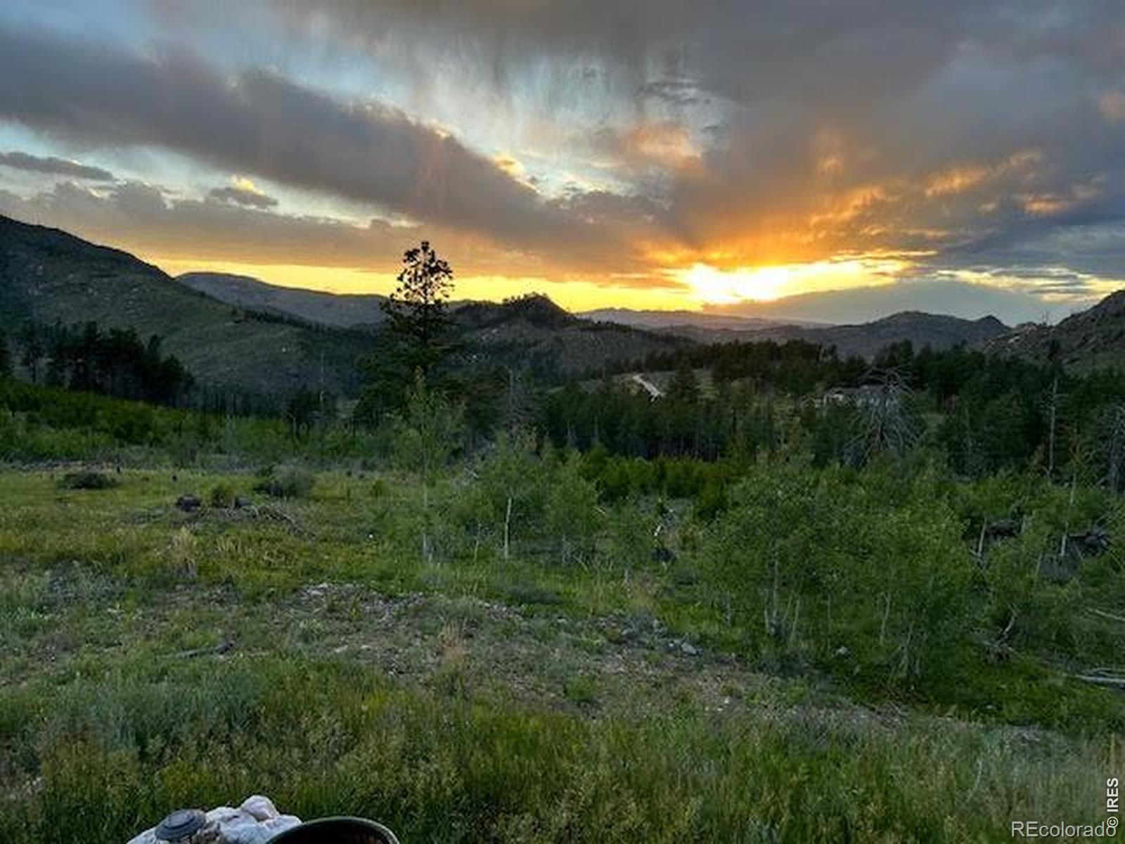 MLS Image #18 for 892  stratton park road,bellvue, Colorado