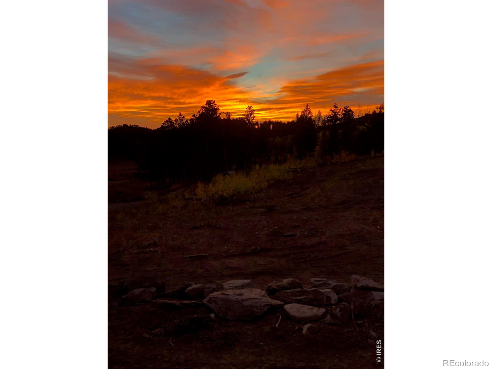 MLS Image #25 for 892  stratton park road,bellvue, Colorado