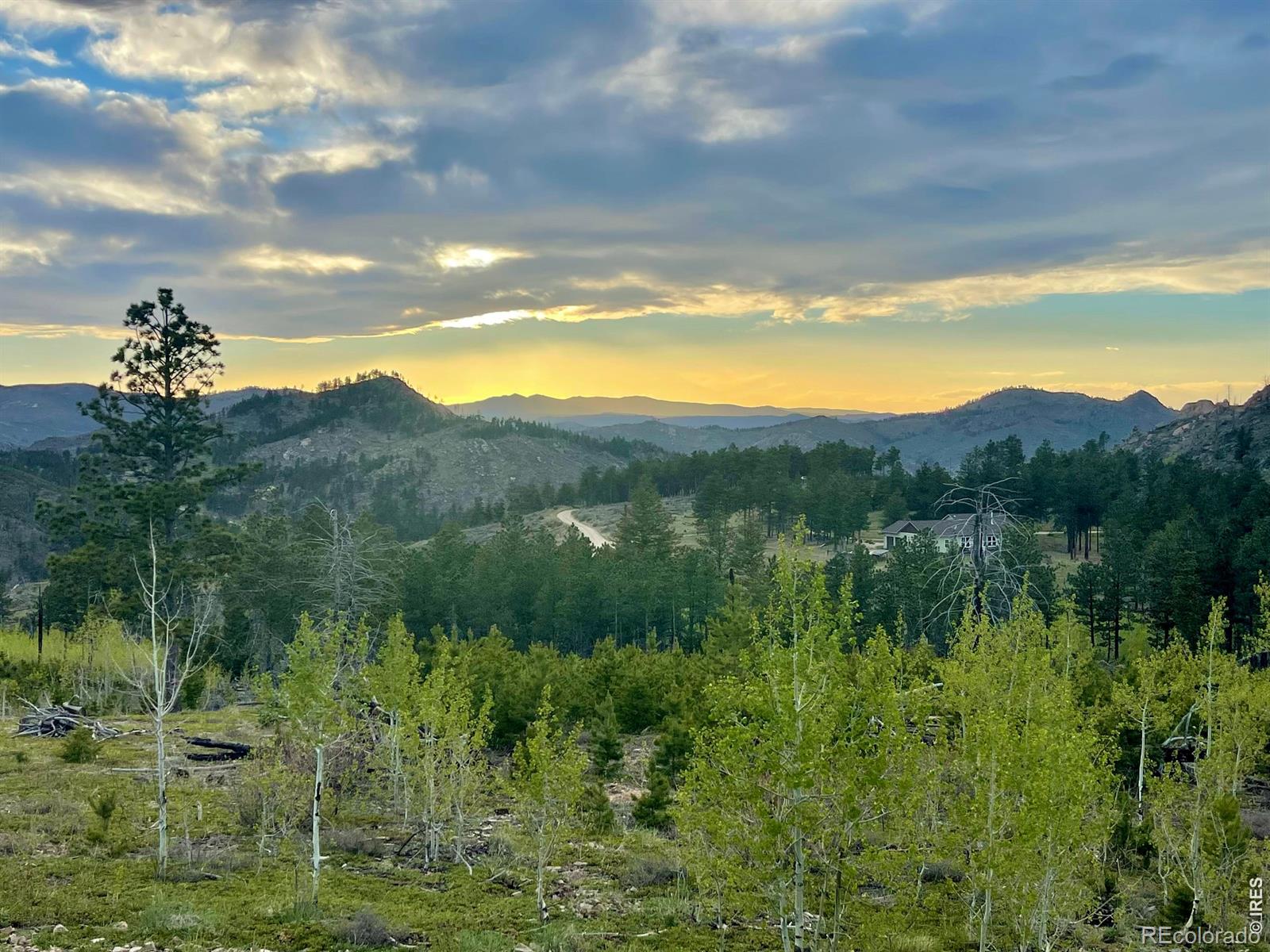 MLS Image #8 for 892  stratton park road,bellvue, Colorado