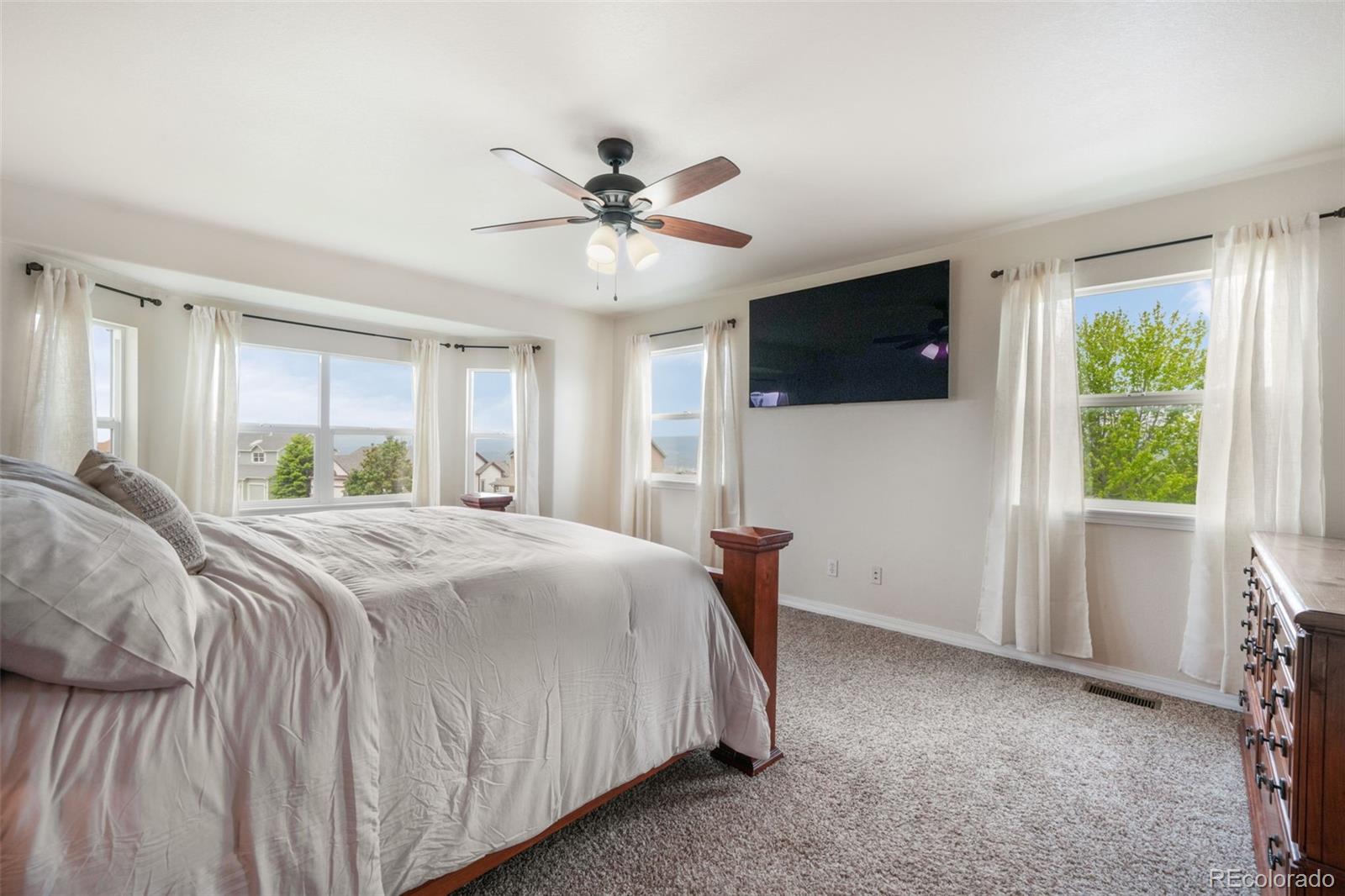 MLS Image #22 for 199  walters creek drive,monument, Colorado