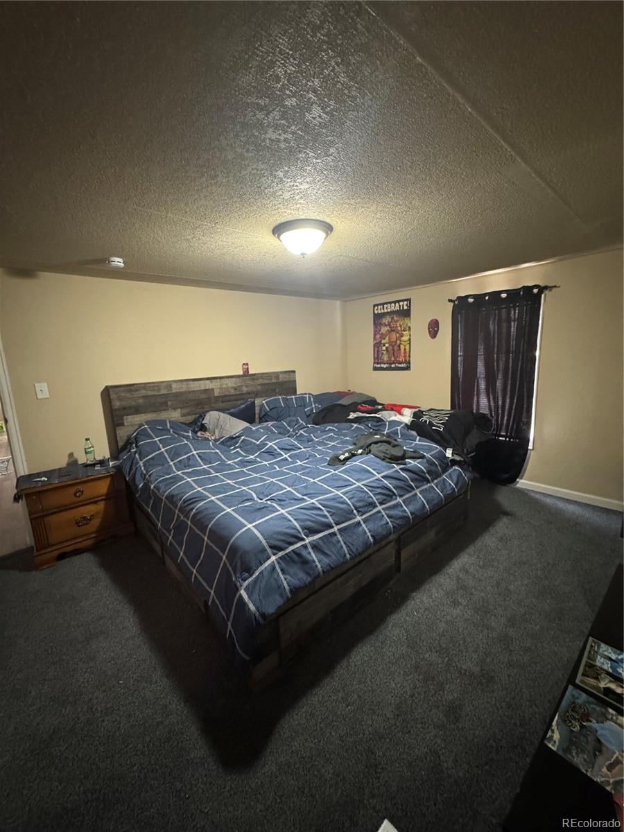 MLS Image #5 for 2  sage court,florence, Colorado