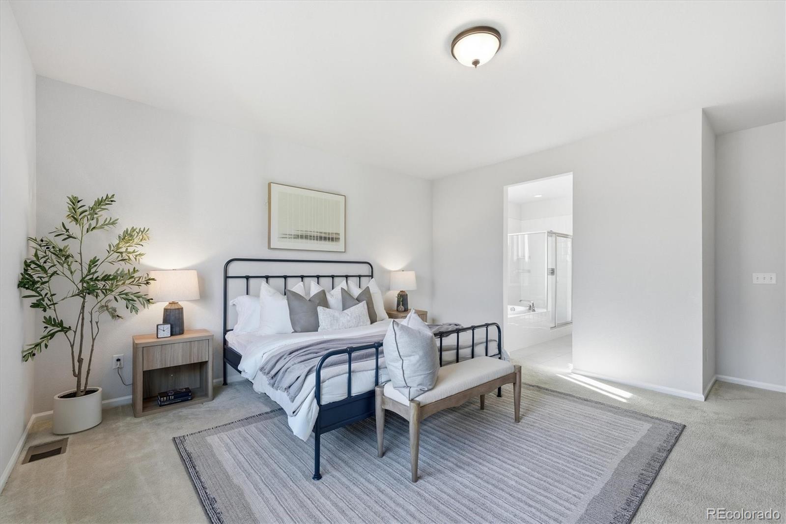 MLS Image #21 for 6954  greenwater circle,castle rock, Colorado