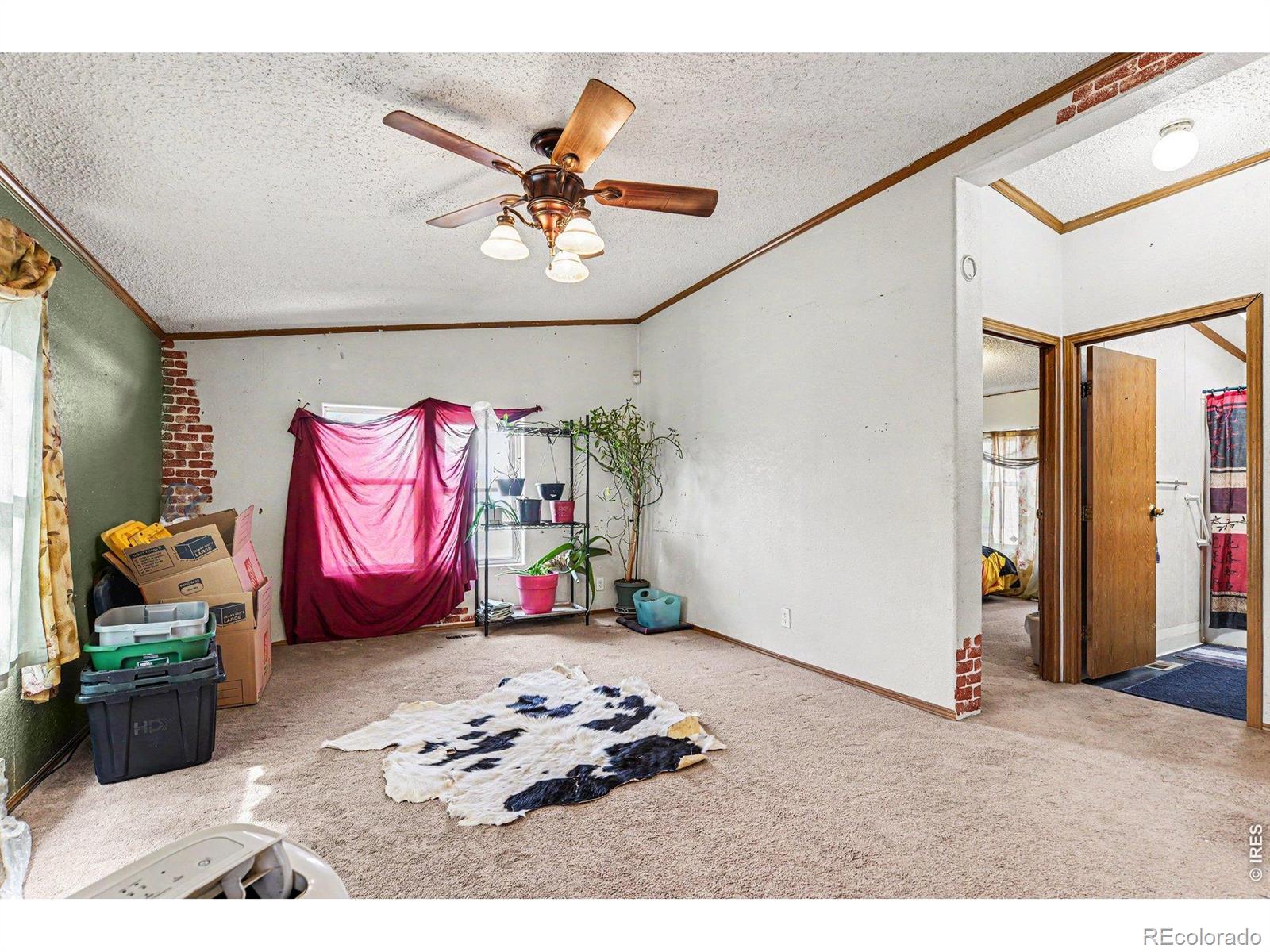 MLS Image #10 for 13746  county road 8 ,fort lupton, Colorado