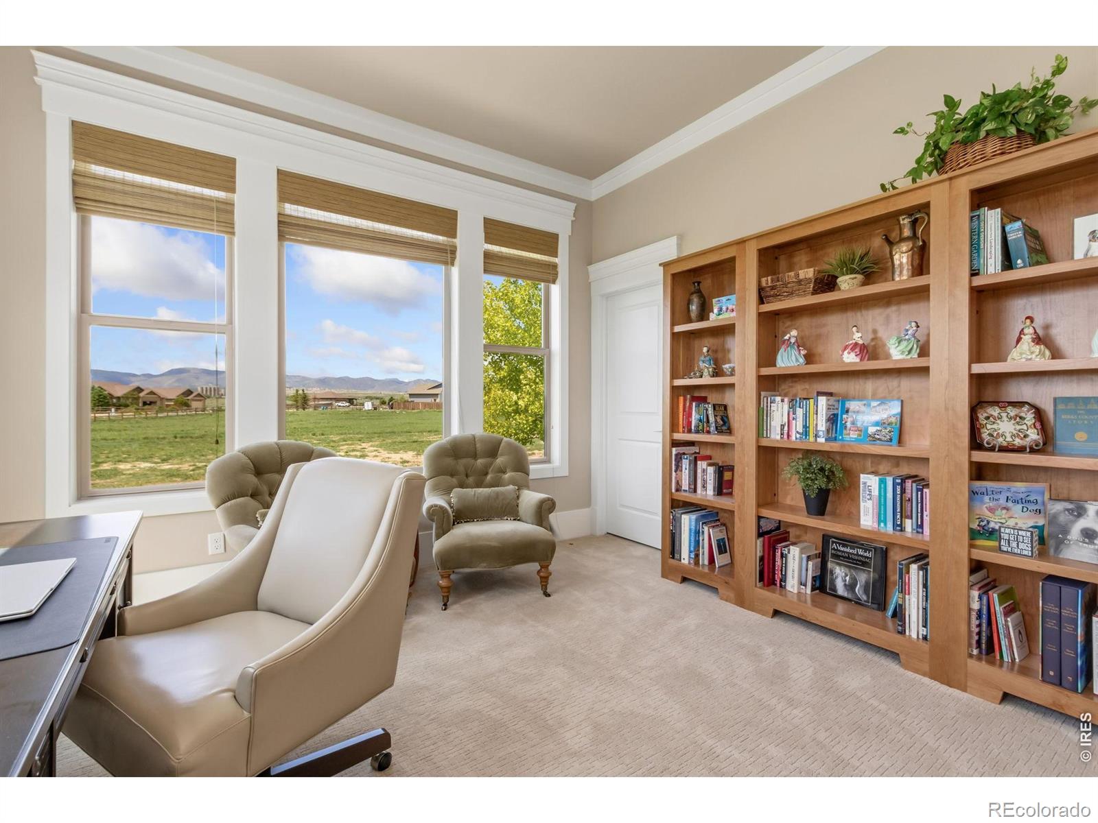 MLS Image #7 for 2124  scenic estates drive,fort collins, Colorado