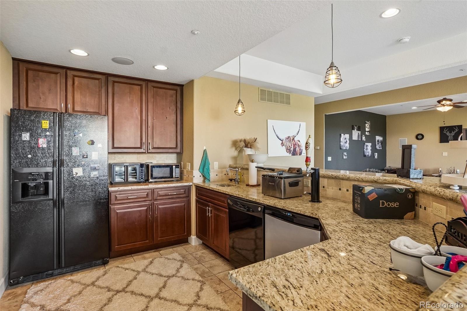 MLS Image #13 for 11646  dunrich road,parker, Colorado